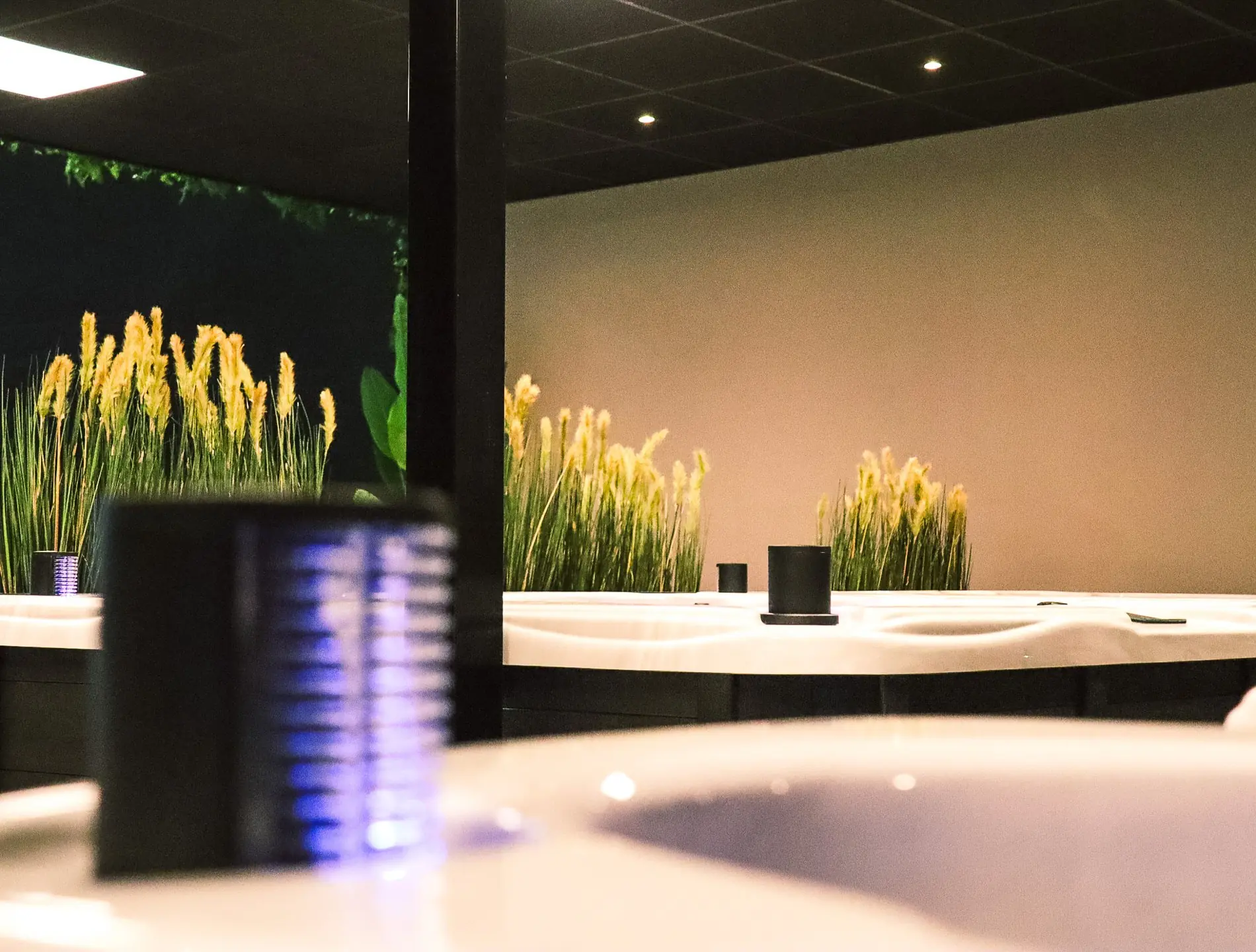Jacuzzi in showroom met planten en rustige binnenomgeving