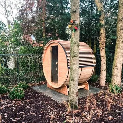 Barrelsauna in een bosrijke omgeving met een kale boom ervoor en herfstbladeren op de grond